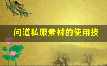 问道私服素材的使用技巧与注意事项解析