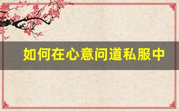 如何在心意问道私服中获得最佳游戏体验