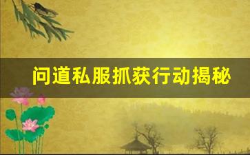 问道私服抓获行动揭秘：如何追踪并打击非法服务器