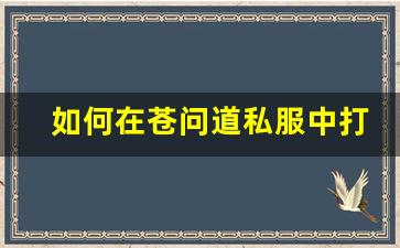 如何在苍问道私服中打造强大角色攻略