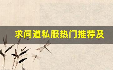 求问道私服热门推荐及安全性分析