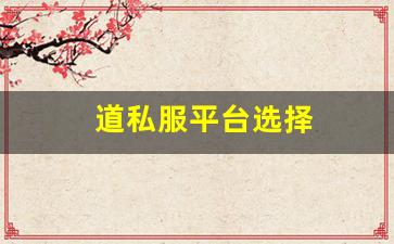 如何选择适合自己的道私服平台