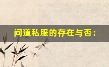 问道私服的存在与否：玩家的期待与现实