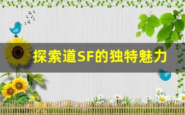 探索道SF的独特魅力与游戏玩法
