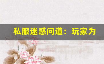 私服迷惑问道：玩家为何深陷其中无法自拔