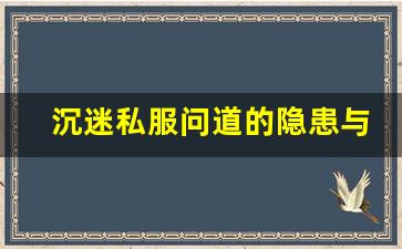 沉迷私服问道的隐患与挑战