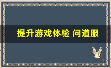 提升游戏体验 问道服辅助工具的优势与使用技巧