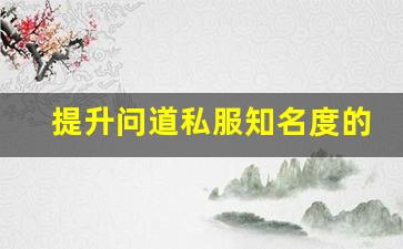 提升问道私服知名度的关键：如何命名你的私服服务器