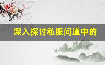 深入探讨私服问道中的漏洞及其影响