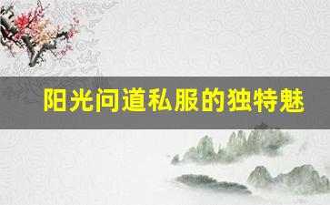 阳光问道私服的独特魅力与玩家体验分析