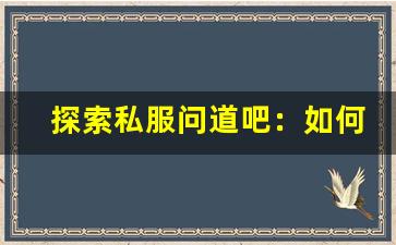 探索私服问道吧：如何选择最适合你的游戏服务器