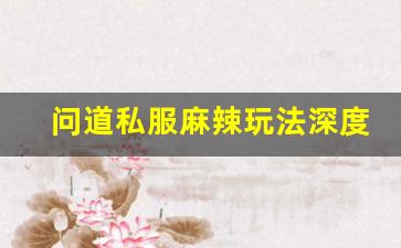 问道私服麻辣玩法深度解析