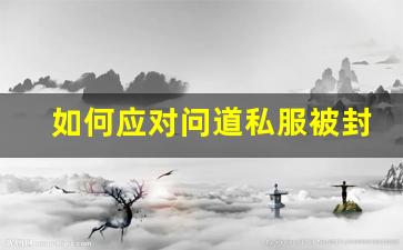 如何应对问道私服被封的困境与解决方案