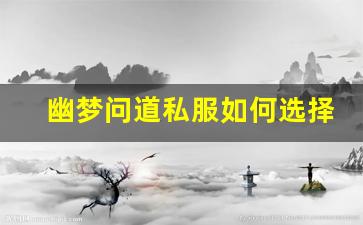 幽梦问道私服如何选择最适合的服务器和玩法策略