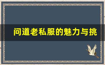 问道老私服的魅力与挑战：为何玩家热衷重返经典
