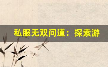 私服无双问道：探索游戏中的隐藏乐趣与挑战