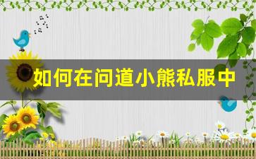 如何在问道小熊私服中快速提升角色实力