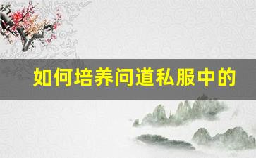 如何培养问道私服中的强力宝宝提升战力