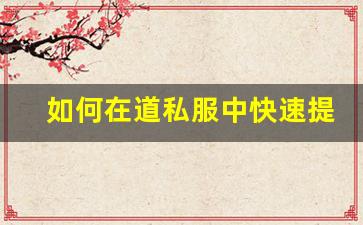 如何在道私服中快速提升角色等级