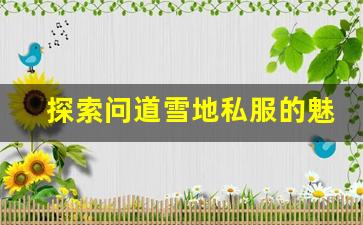探索问道雪地私服的魅力与独特玩法