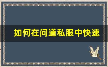 如何在问道私服中快速获得装备