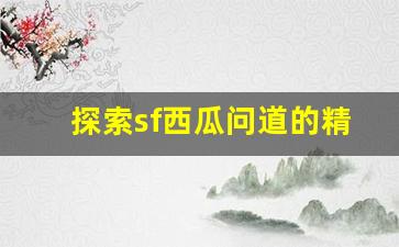 探索sf西瓜问道的精彩玩法与特色系统