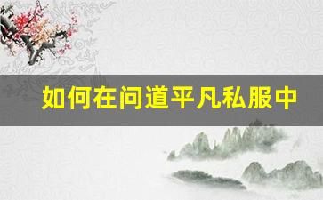 如何在问道平凡私服中获得最佳游戏体验