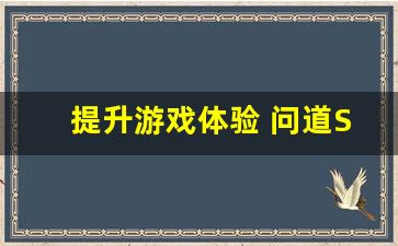 提升游戏体验 问道SF辅助器的强大功能解析