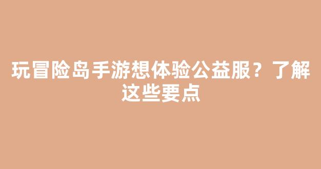 玩冒险岛手游想体验公益服？了解这些要点