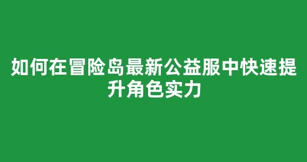 如何在冒险岛最新公益服中快速提升角色实力